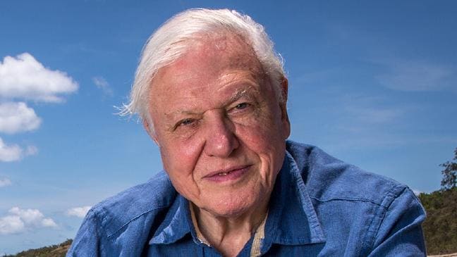 David Attenborough advierte "última oportunidad" para salvar el planeta