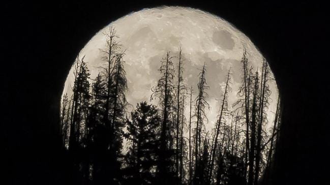 Cómo ver la luna rosada perigeo-syzygy en Australia