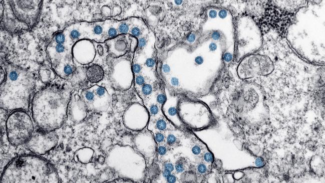 La investigación encuentra que la distancia de transmisión puede ser de cuatro metros