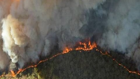 Los bomberos australianos necesitan cambiar de táctica