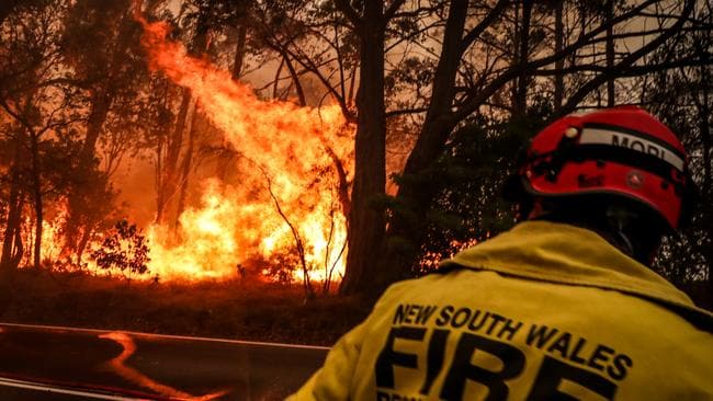 Victoria, NSW recibirá informes de consultas independientes sobre incendios forestales