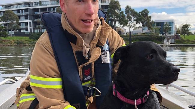 Los bomberos rescatan a un perro descarado que nadaba a 1 km de su dueño