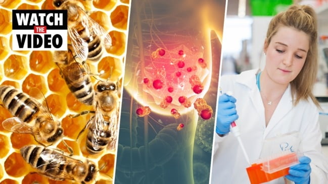 Honeybee venom found to kill cancer