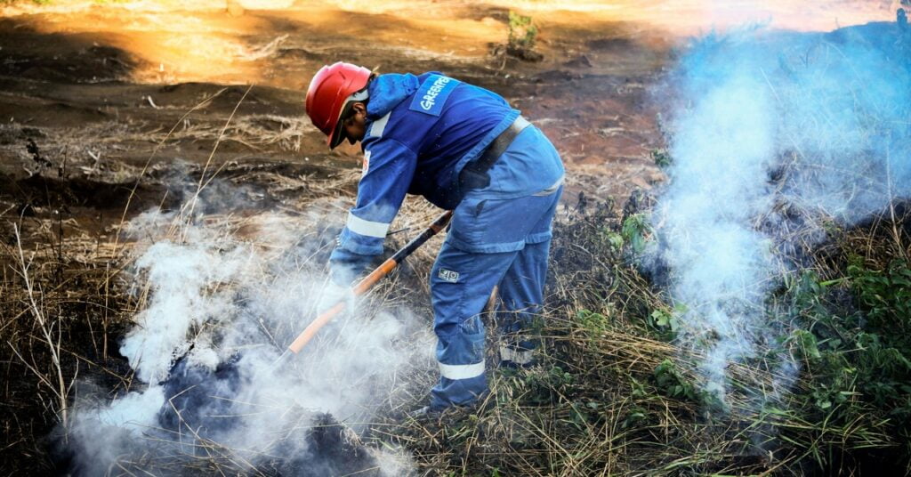 Cómo matar un fuego zombi