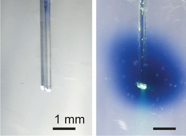 Microfibras para activar fármacos con luz