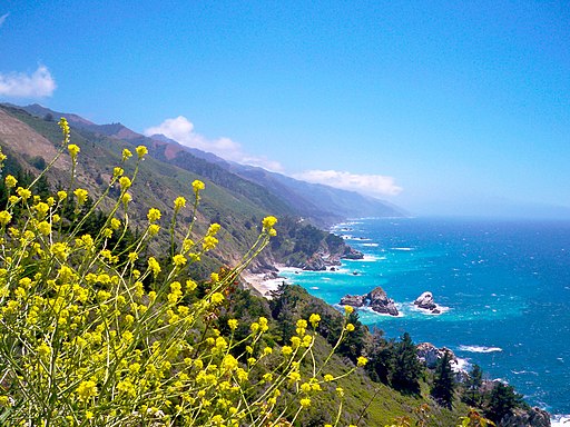 Costa de Big Sur California