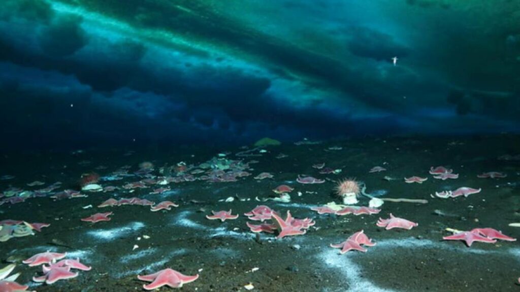 Se descubre una fuga de metano bajo el hielo de la Antártida