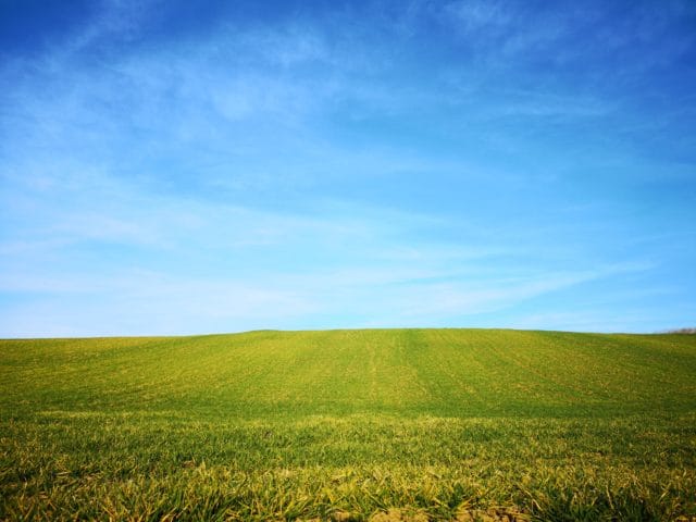 El código fuente de Windows XP se filtró en la web |  Diario del friki