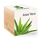 Feel Green Ecocube Aloe Vera ...