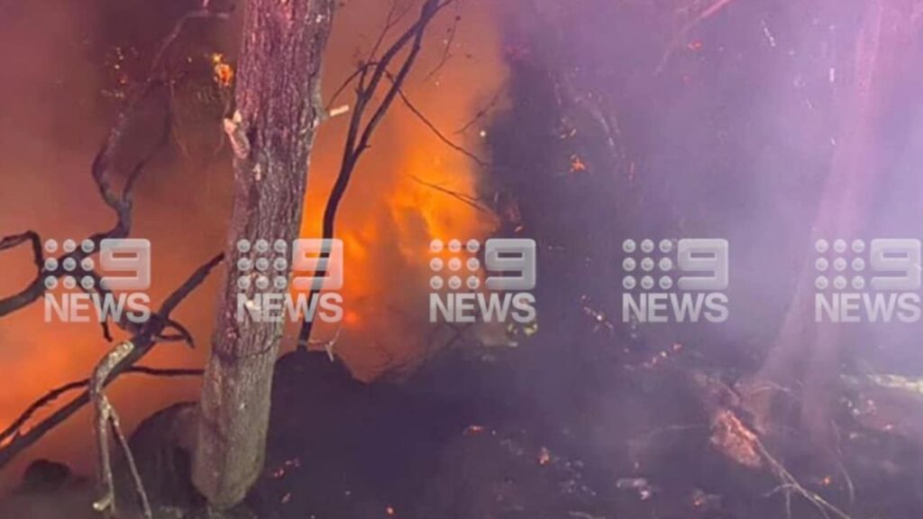 Camión se desvía de la M1 y estalla en llamas al norte de Sydney