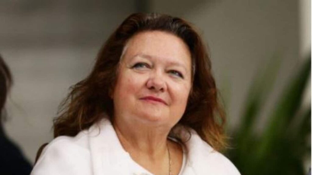 Gina Rinehart se burló de un libro de chistes lleno de memes boomer