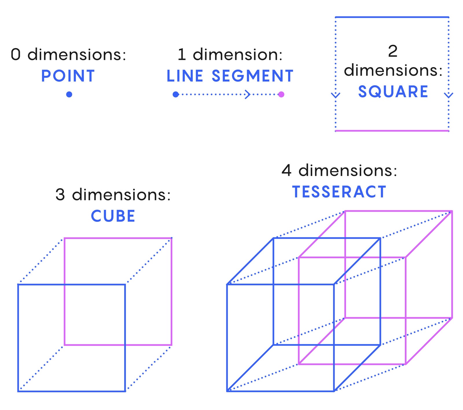 Al barrer las formas azules hasta las violetas, podemos visualizar cubos de varias dimensiones, incluido un tesseract.