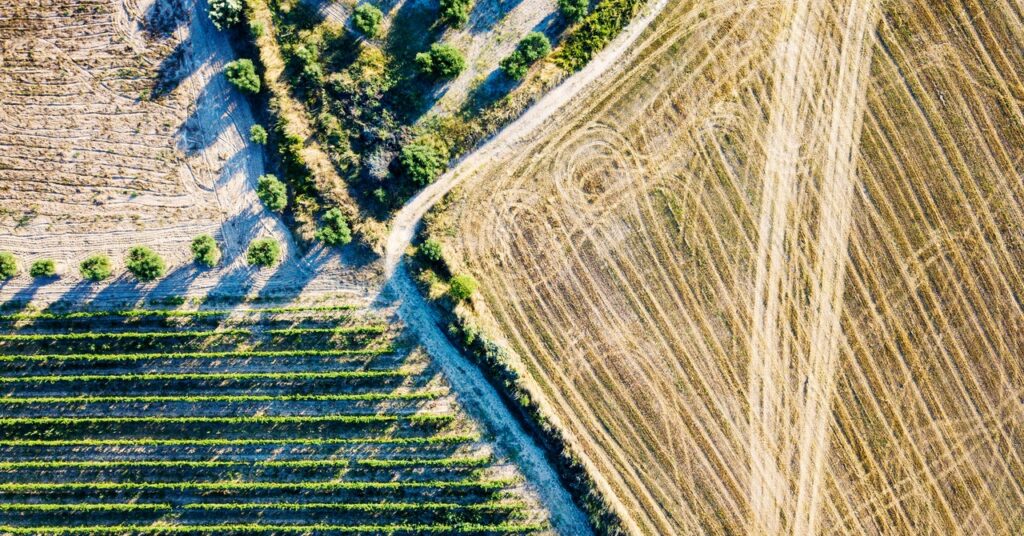 ¿Qué tan saludable es el suelo de una granja?  Compruebe qué tan activos son sus microbios