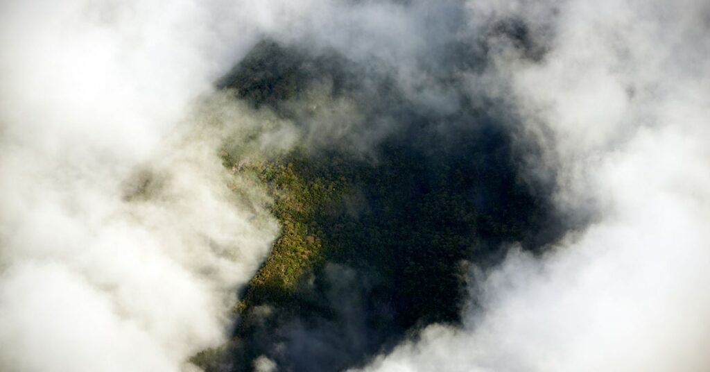 Un enorme 'árbol' subterráneo está moviendo magma a la superficie de la Tierra