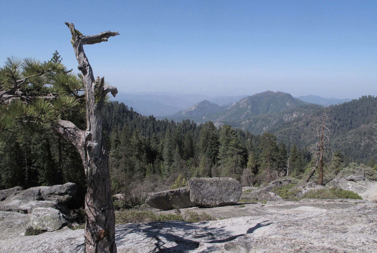 Parque Nacional Sequoia