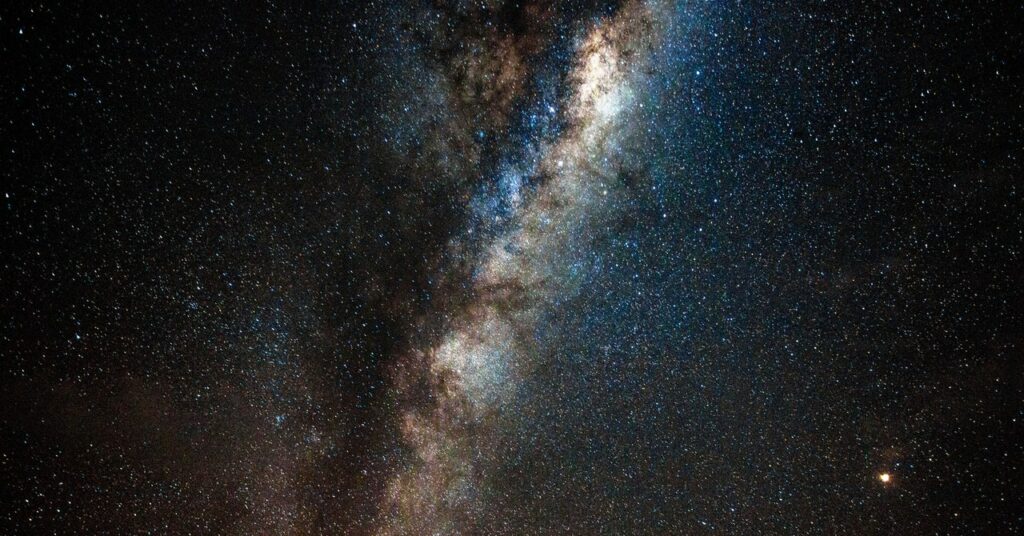 En Nueva Zelanda, la gente (y las polillas) redescubren cielos oscuros