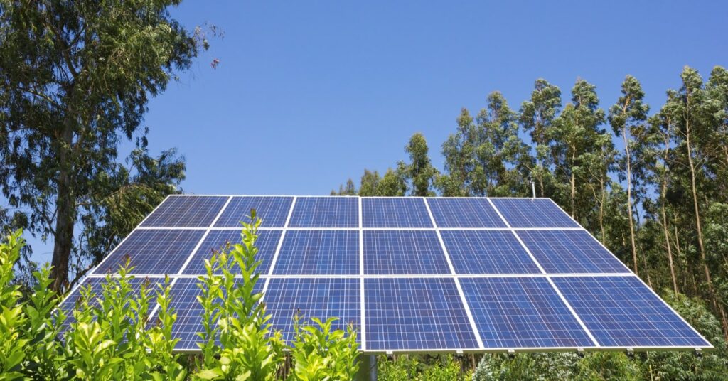 Su jardín en la azotea podría ser una granja de trabajo con energía solar