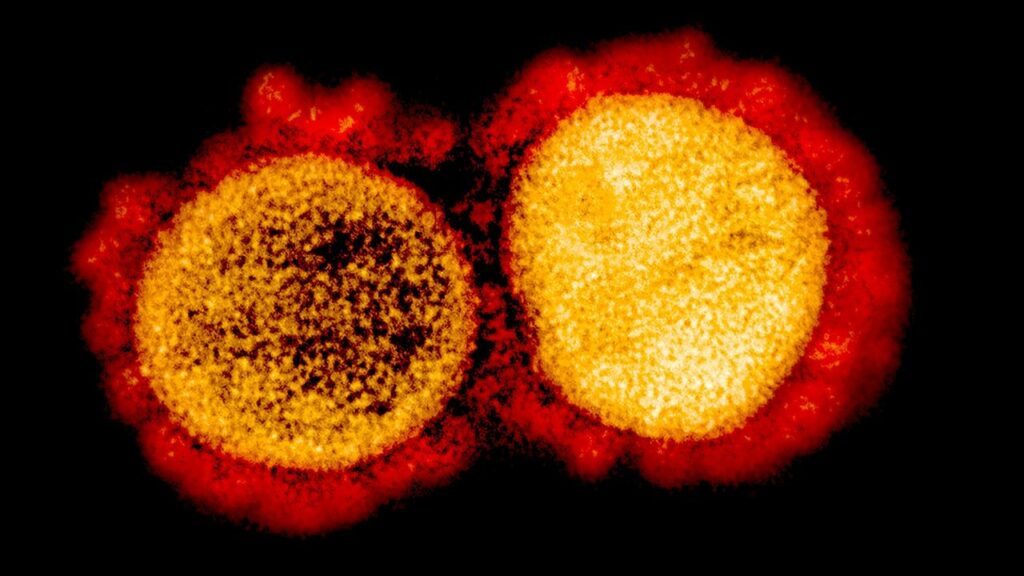 La vacuna Novavax Covid Omicron probablemente estará disponible pronto en Australia