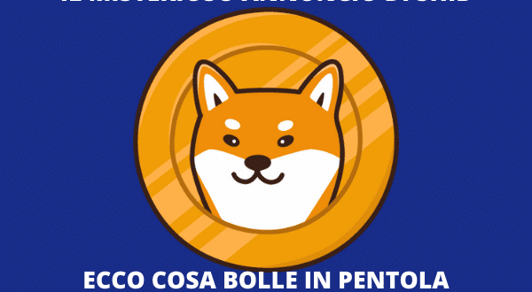 Shiba Inu Coin - cosa è stato annunciato