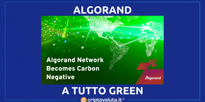 Algorand contro Bitcoin