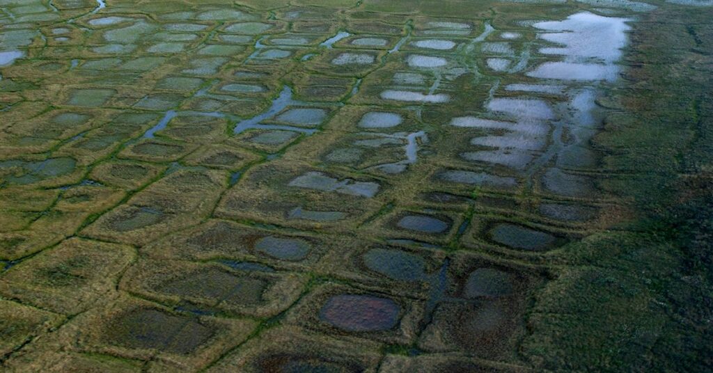 Estados Unidos abandona las políticas de la era Trump para la reserva de petróleo del Ártico de Alaska