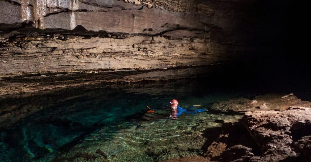 Un raro cangrejo de río perdido hace mucho tiempo resurge en una cueva de Alabama