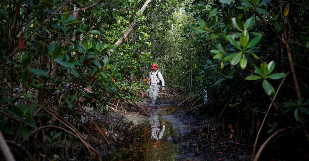 Andrew Otazo has dedicated his free time to removing over 10 tons of trash from South Florida