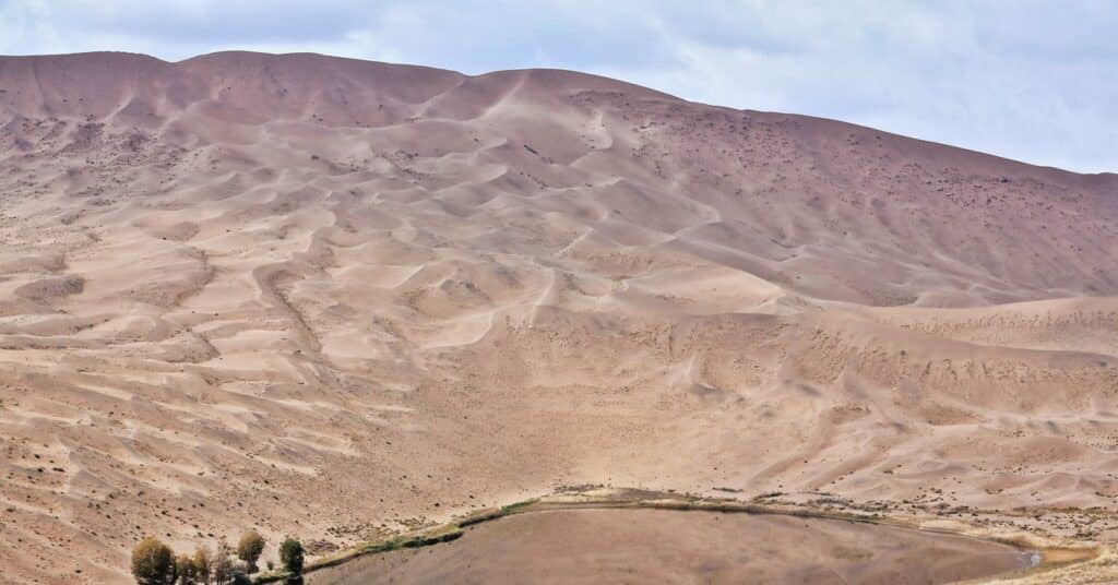 Se ha encontrado una herramienta para combatir las superbacterias en lo profundo del desierto