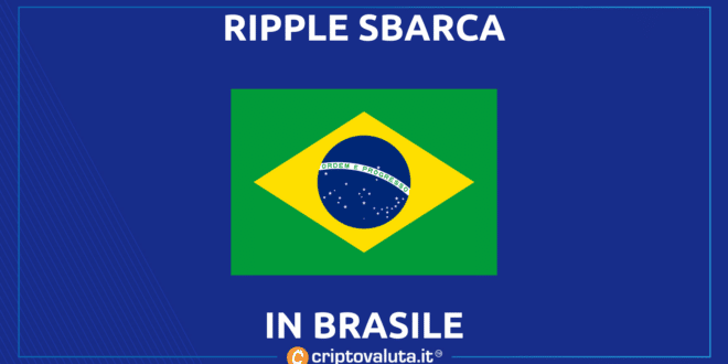 RIPPLE BRASILE