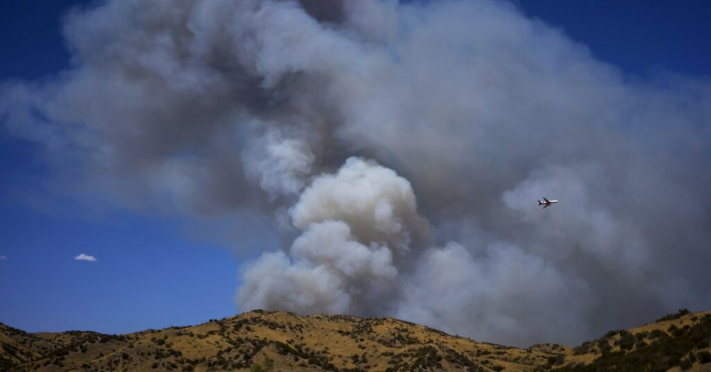 El humo de los incendios forestales puede transportar hongos mortales largas distancias