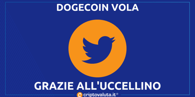 DOGECOIN VOLA