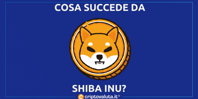 NOVITA SHIB