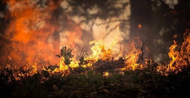 Un enorme incendio forestal se acerca peligrosamente a la central eléctrica de Chernobyl