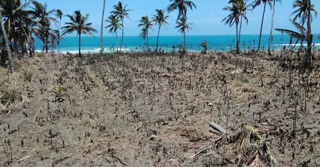 Aftermath of Tonga volcano eruption on Jan. 15, 2022