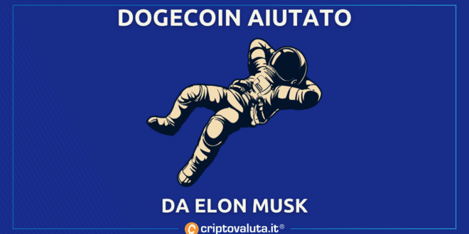 ELON MUSK AIUTA DOGE