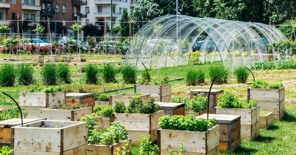 Puede convertir su patio trasero en un punto de acceso a la biodiversidad