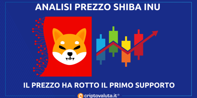 Shiba Inu