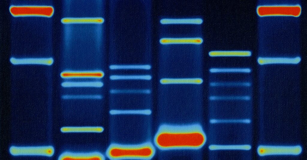 Es oficial: no más bebés Crispr, por ahora