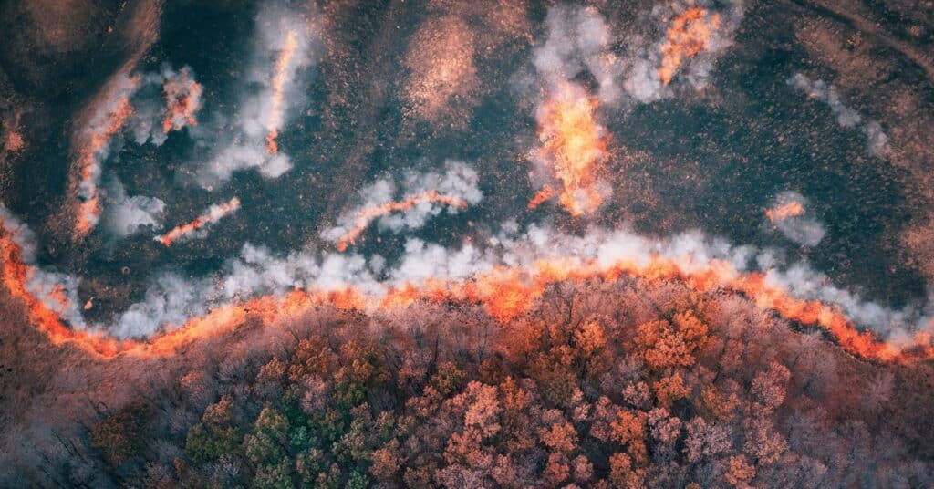 Las advertencias sobre el futuro de la humanidad no se vuelven más terribles que esto