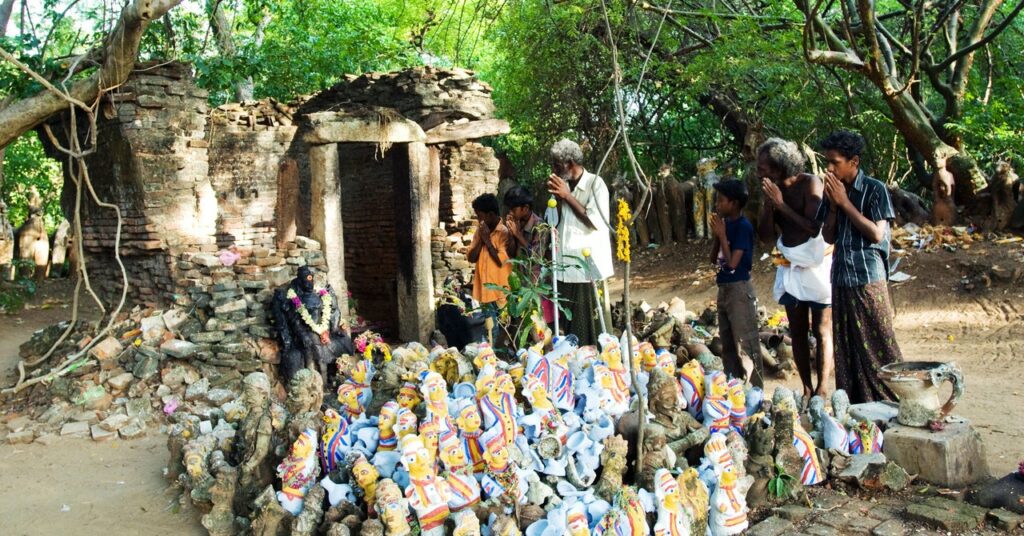 Las arboledas sagradas de la India están resucitando un bosque que desaparece