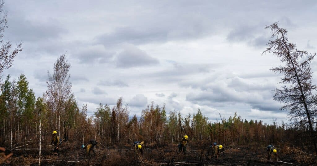 Los gorrones climáticos están destruyendo el planeta