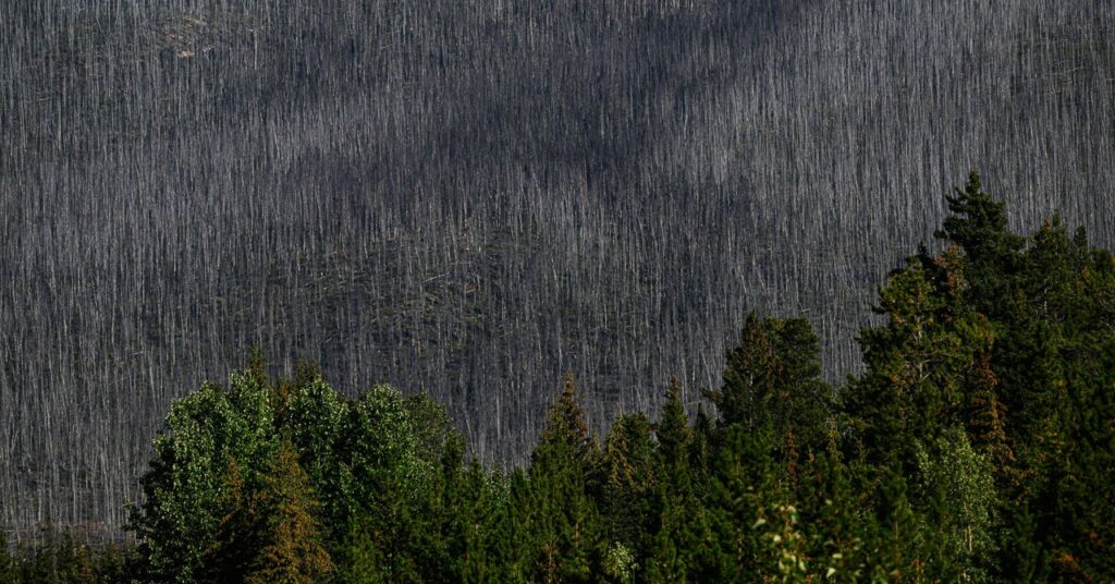 El extremo norte está ardiendo y aumentando el calor en el planeta