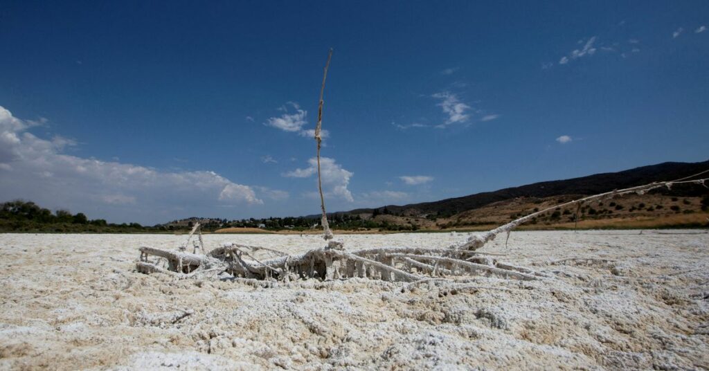 FILE PHOTO: Extreme heat combines with drought conditions in California