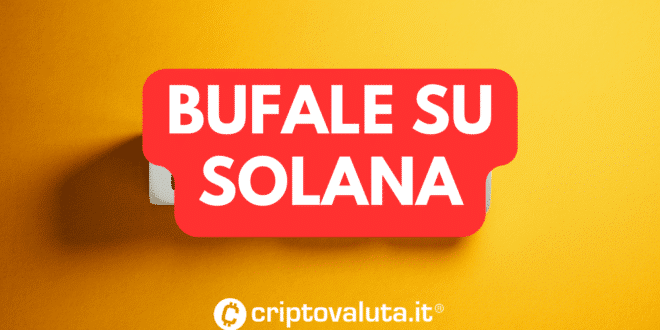 BUFALA SOLANA