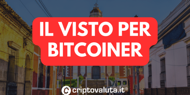 Visto Bitcoiner