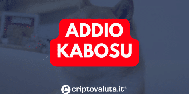 ADDIO KABOSU