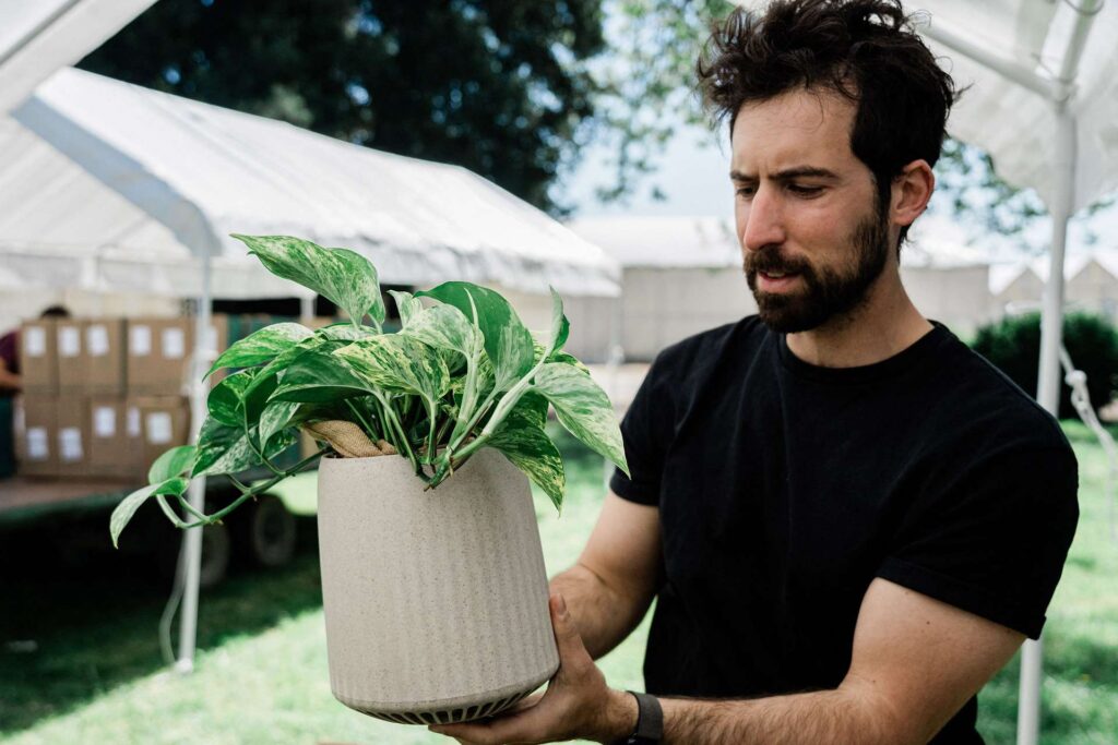 La primera planta biotecnológica con superpoderes descontaminantes