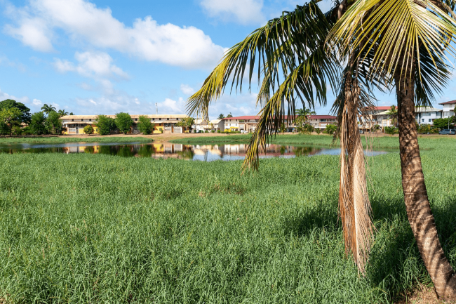 La ville de Kourou n