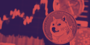 DOGECOI - DOGE